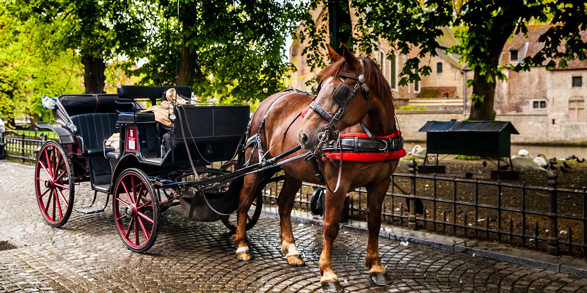 Diversão em Família