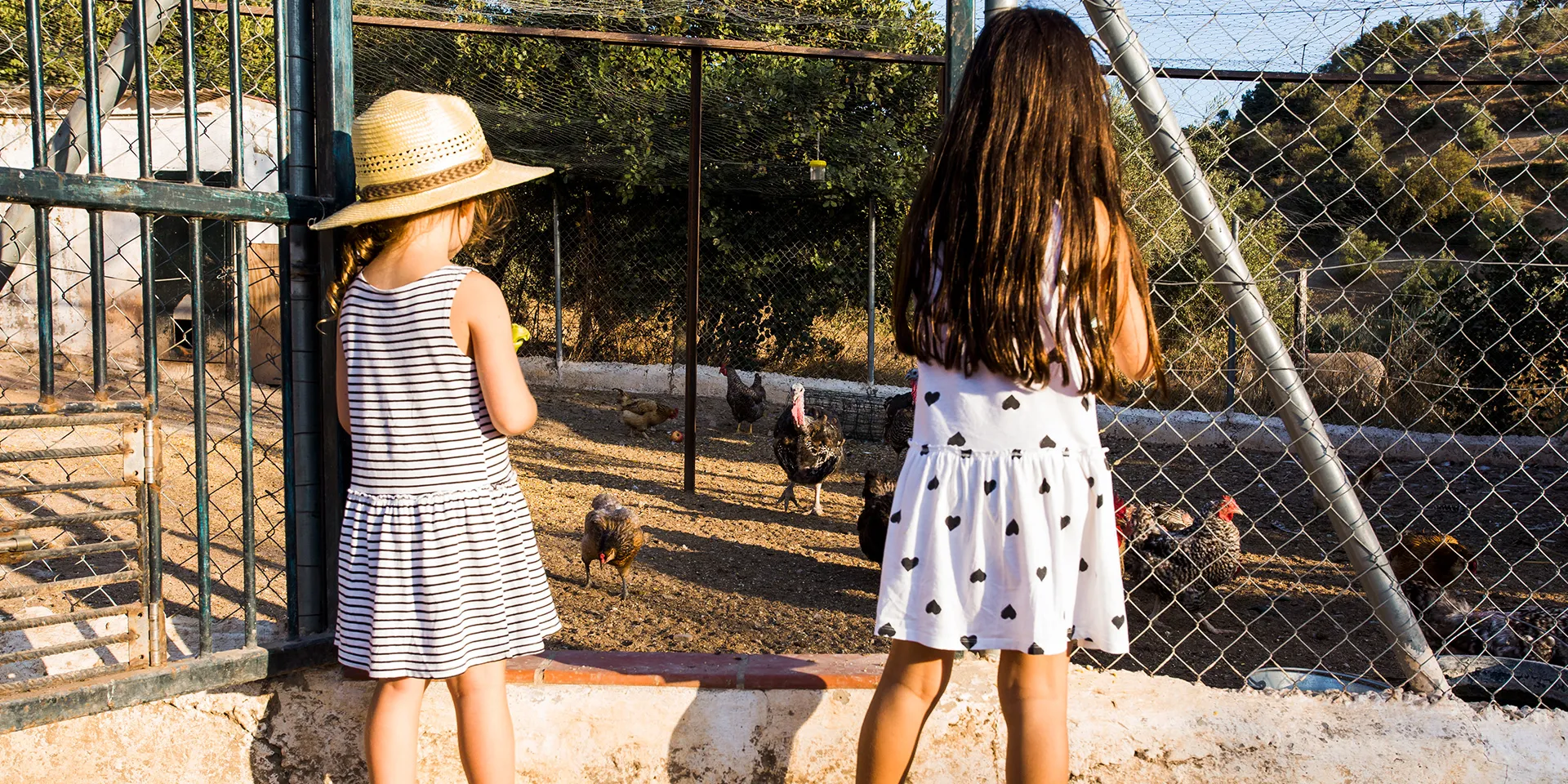 Diversão em Família